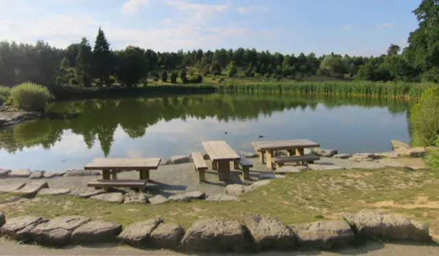 Bedgebury Pinetum Walks, Sussex