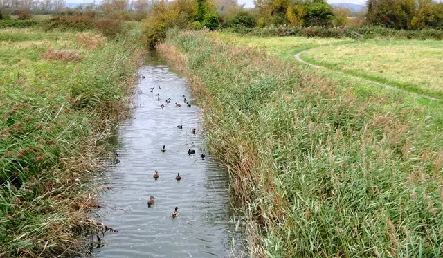 Bersted Brooks Walks, Sussex