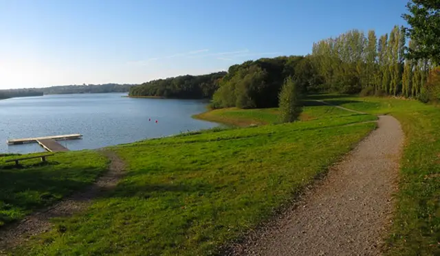 Bewl Water Walk, Sussex