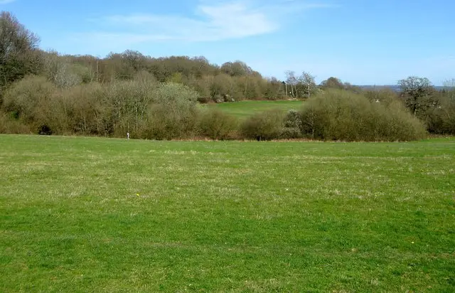 Blunt's Wood Walk, Sussex