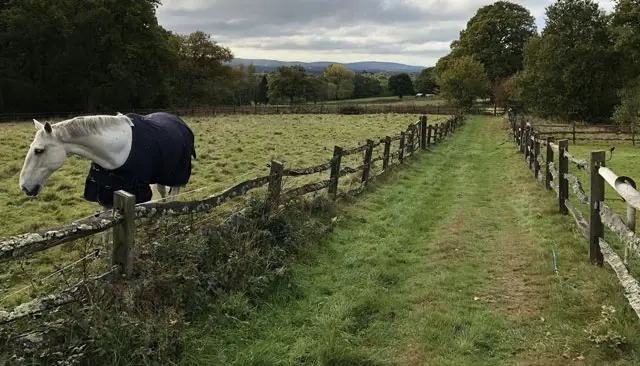 Bolney Walks, Sussex