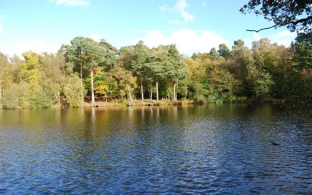 Buchan Country Park Walk, Sussex