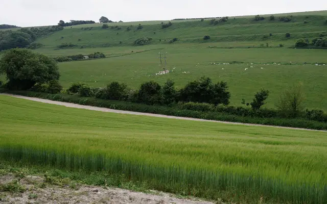 Burpham Walks, Sussex