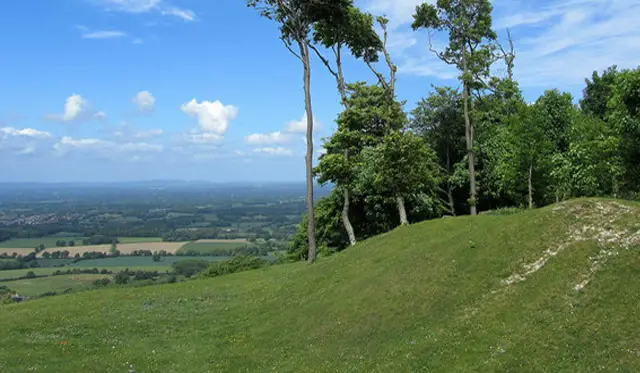 Chanctonbury Ring Walk, Sussex