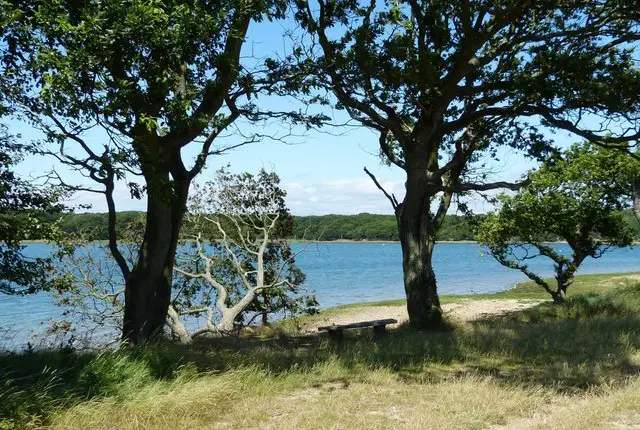 Chichester Channel Walk, Sussex