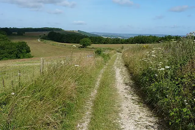 Chilgrove Walks, Sussex