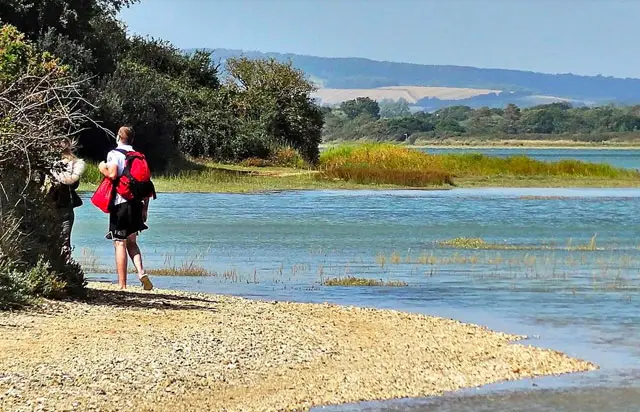 Church Norton Walks, Sussex