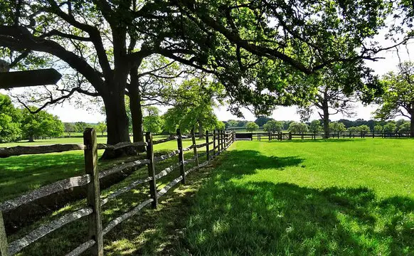 Copsale Walks, Sussex