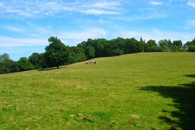 Cowfold Walks, Sussex