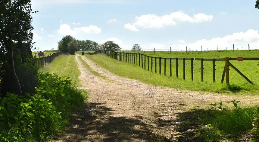 Danehill Walks, Sussex