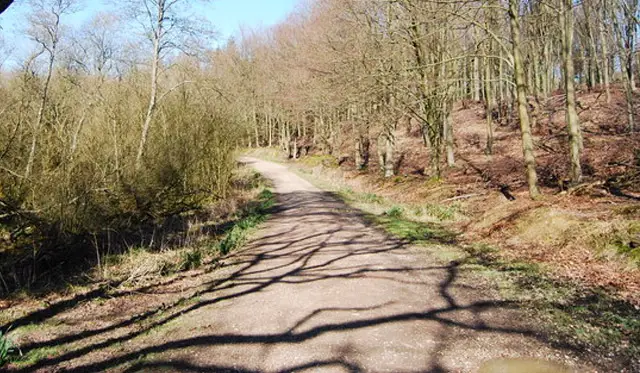 Darwell Wood Walk, Sussex