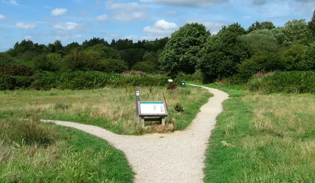 Ditchling Common Walks, Sussex