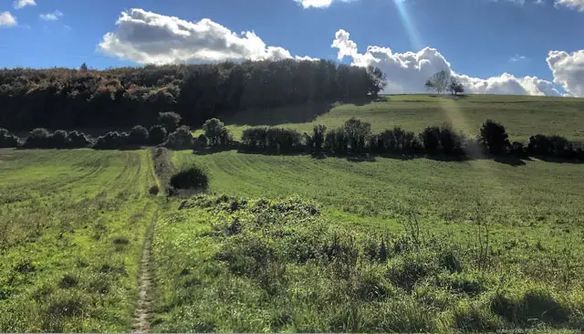 Droke Walks, Sussex