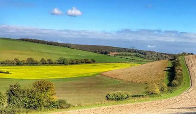 East Dean West Sussex Walks