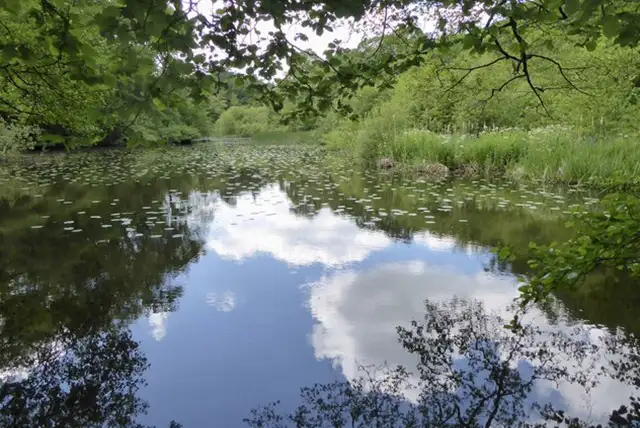 Ebernoe Common Walks, Sussex
