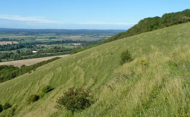 Firle Beacon Walks, Sussex