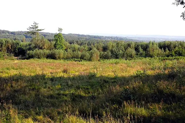 Footland Wood Walks, Sussex