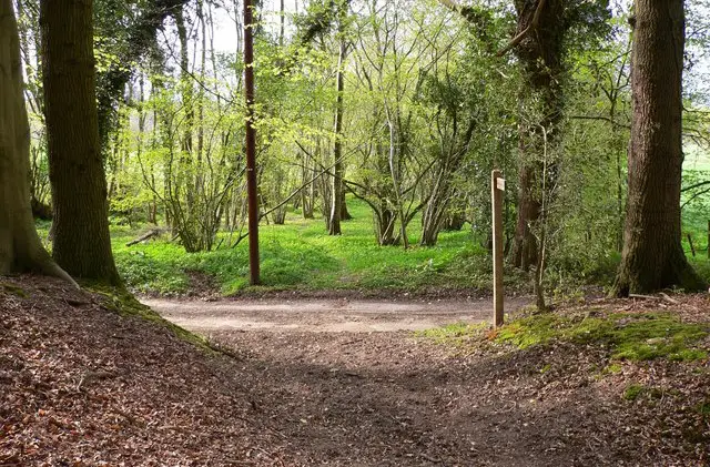 Graffham walk, Sussex