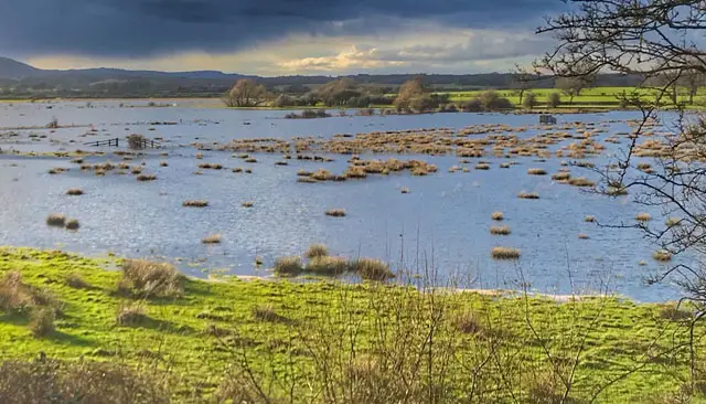 Henfield Walks, Sussex