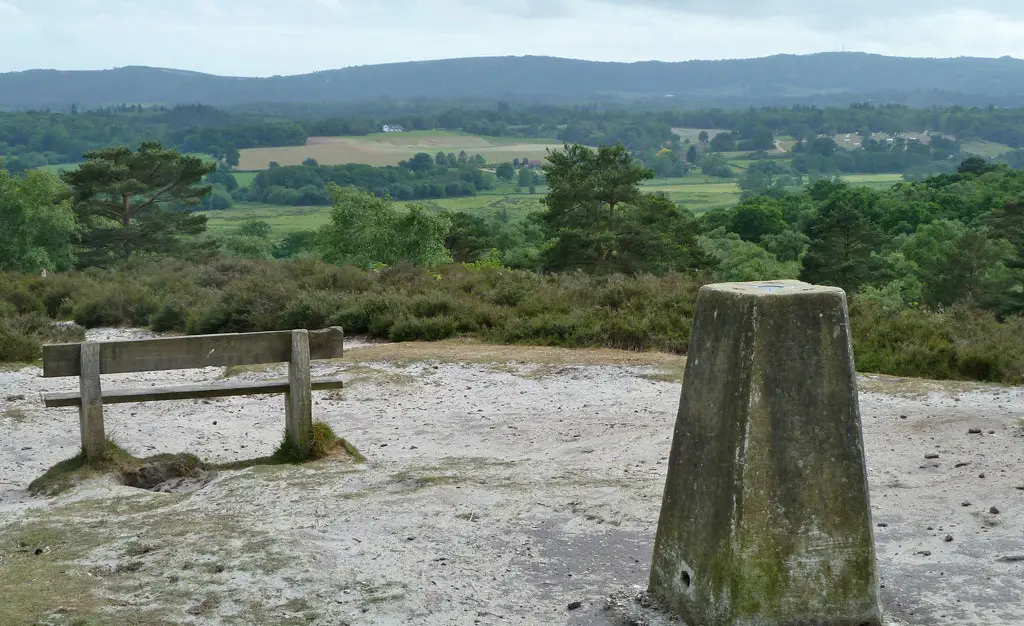 Hesworth Common Walks, Sussex