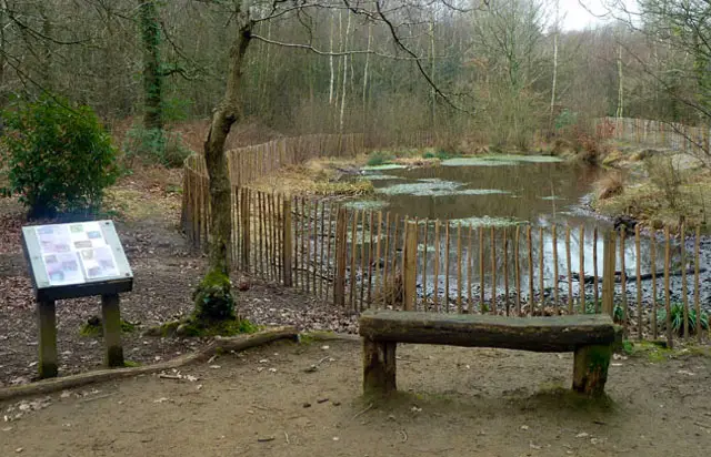 High Woods Walks, Sussex