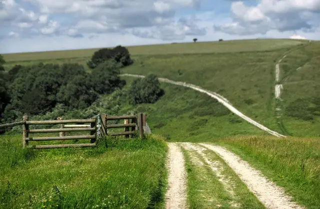 Hooksway Walks, Sussex