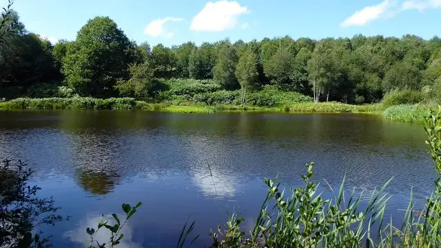 Horsted Keynes Walks, Sussex