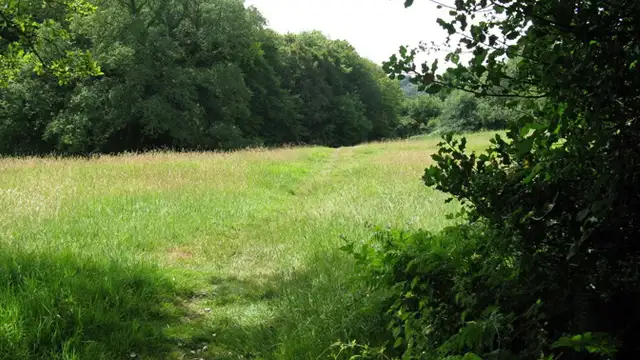Hurstwood Walks, Sussex
