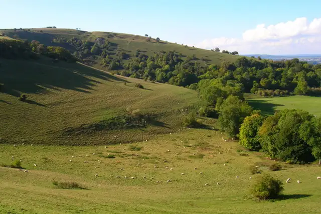 Kithurst Hill Walks, Sussex