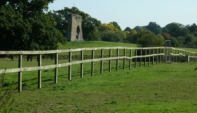 Knepp Estate Walks, Sussex