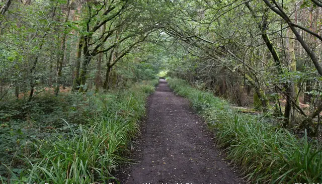 Laughton Walk, Sussex