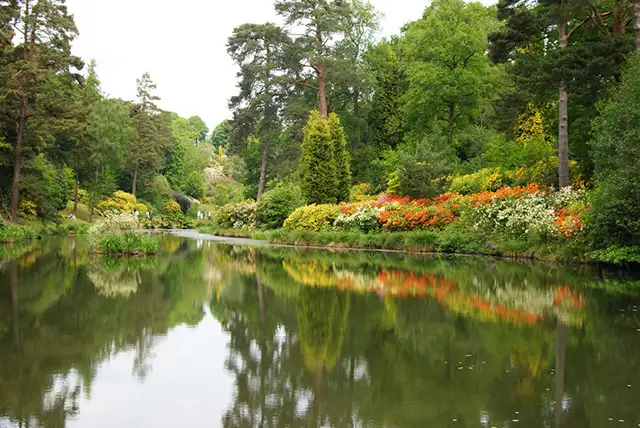Leonardslee Gardens Walks, Sussex