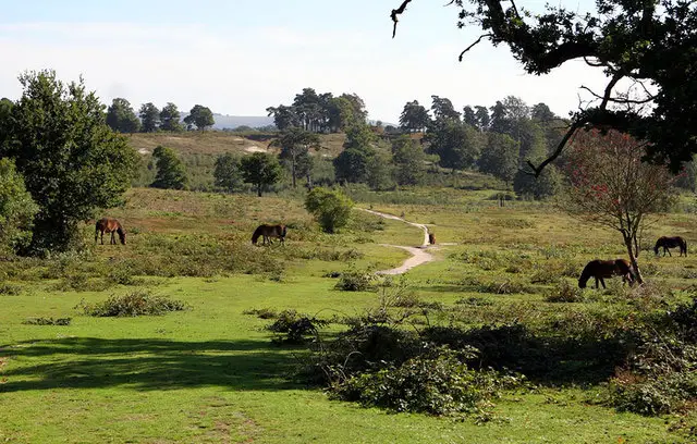 Lords Piece Walks, Sussex