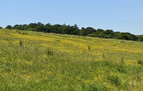 Mayfield Walks, Sussex