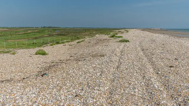 Medmerry Nature Reserve Walks, Sussex