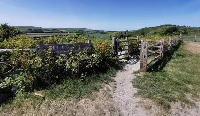Mill Hill Walks, Sussex