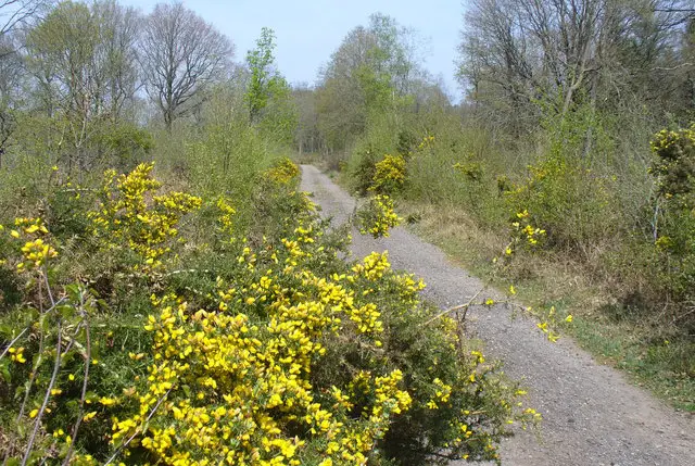 Monckton Hook Walks, Sussex