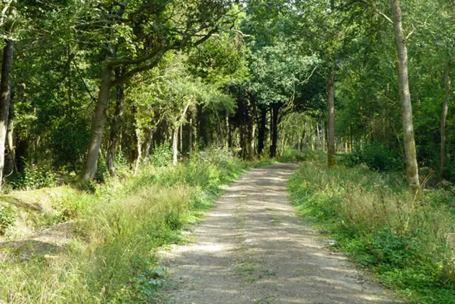 Nutbourne Walks, Sussex