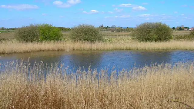 Pagham Harbour Walks, Sussex