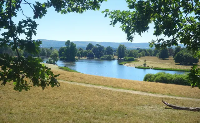 Petworth Deer Park Walk, Sussex
