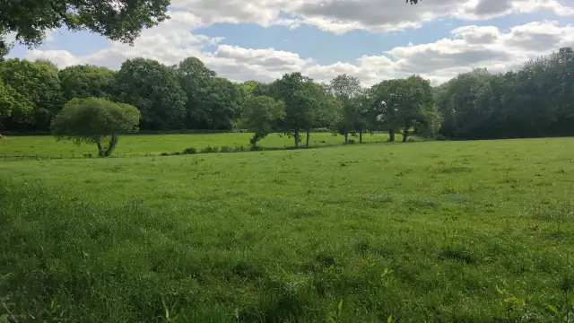 Plaistow Walks, Sussex