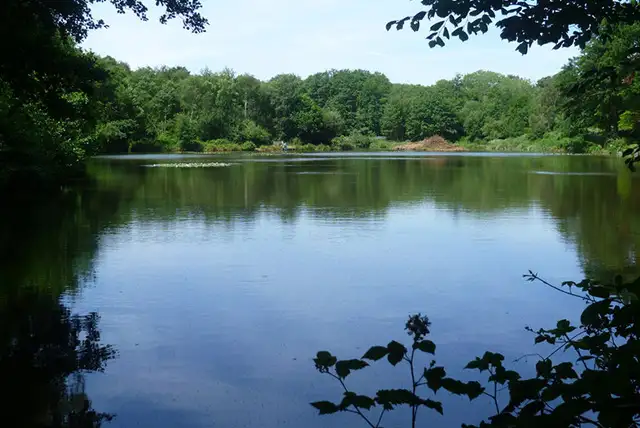 Powdermill Wood Walks, Sussex