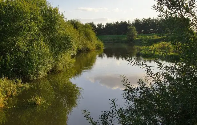 Pulborough Brooks Walk, Sussex