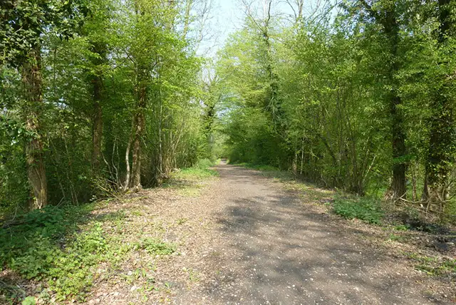 Rudgwick Walks, Sussex
