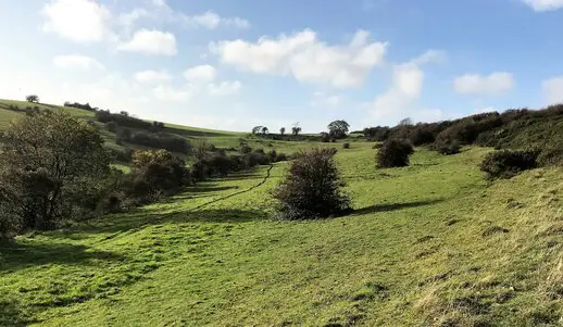 Walks near Saddlescombe Farm, Sussex