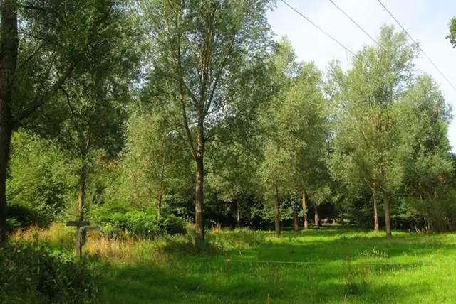 Scaynes Hill Walks, Sussex