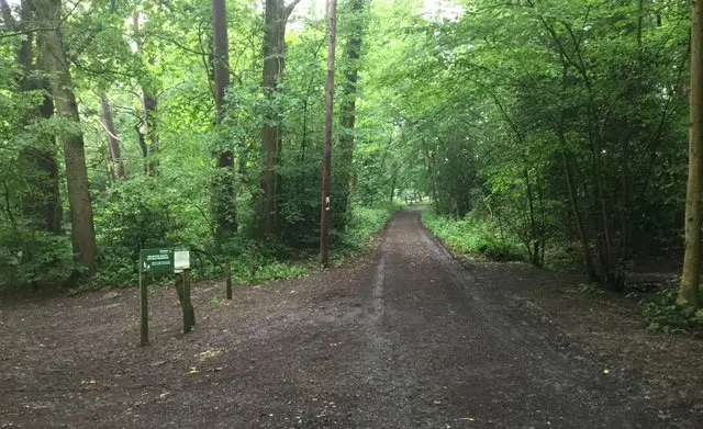 Selwyns Wood Walk, Sussex