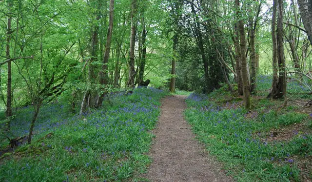 Sheffield Park Walks, Sussex