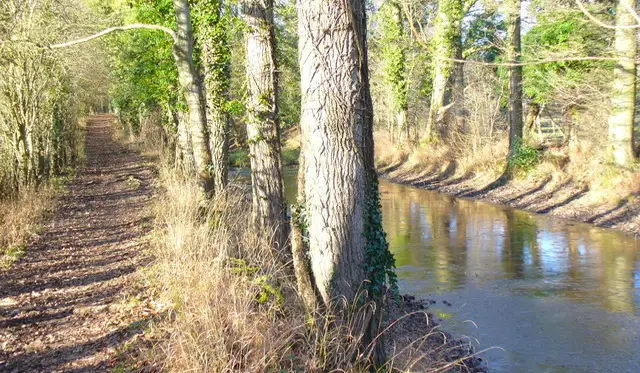 Sidney Wood Walks, Sussex