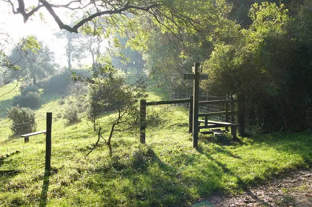 Slindon Walks, Sussex